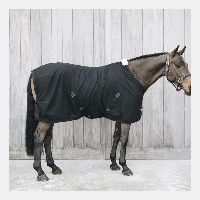 Kentucky Horsewear Chemise Cheval en Coton Noir