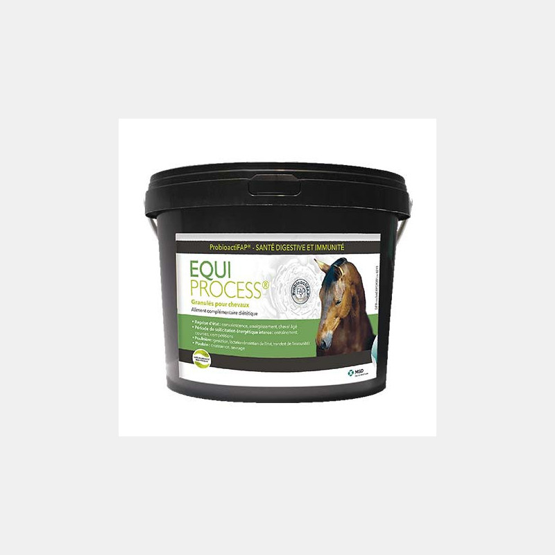 MSD Equi Process MSD Equi Process