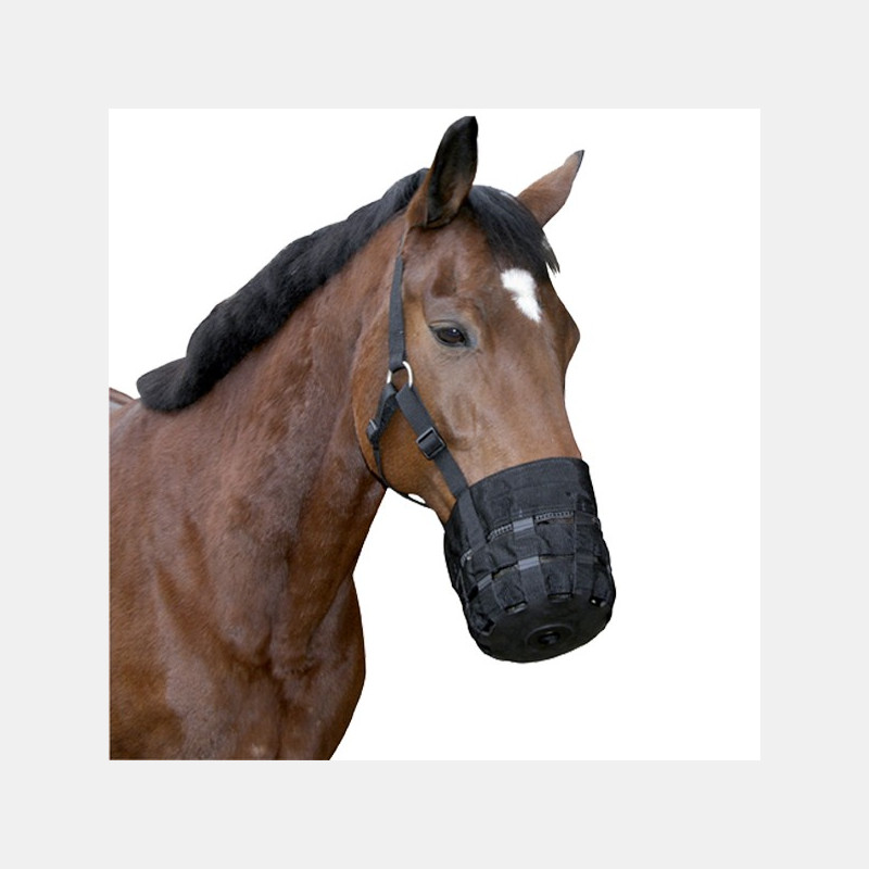 Muselière Cheval Muselière Cheval