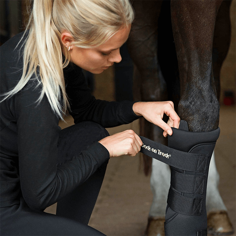 Stable Boots Royal Back On Track Stable Boots Royal Back On Track