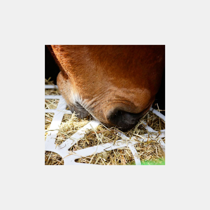 Distributeur Foin Cheval Haygain Slow Feeder Le Forager Distributeur Foin Cheval Haygain Slow Feeder Le Forager