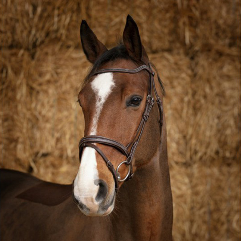 NORTON - Bridon Perle - Havane NORTON - Bridon Perle - Havane