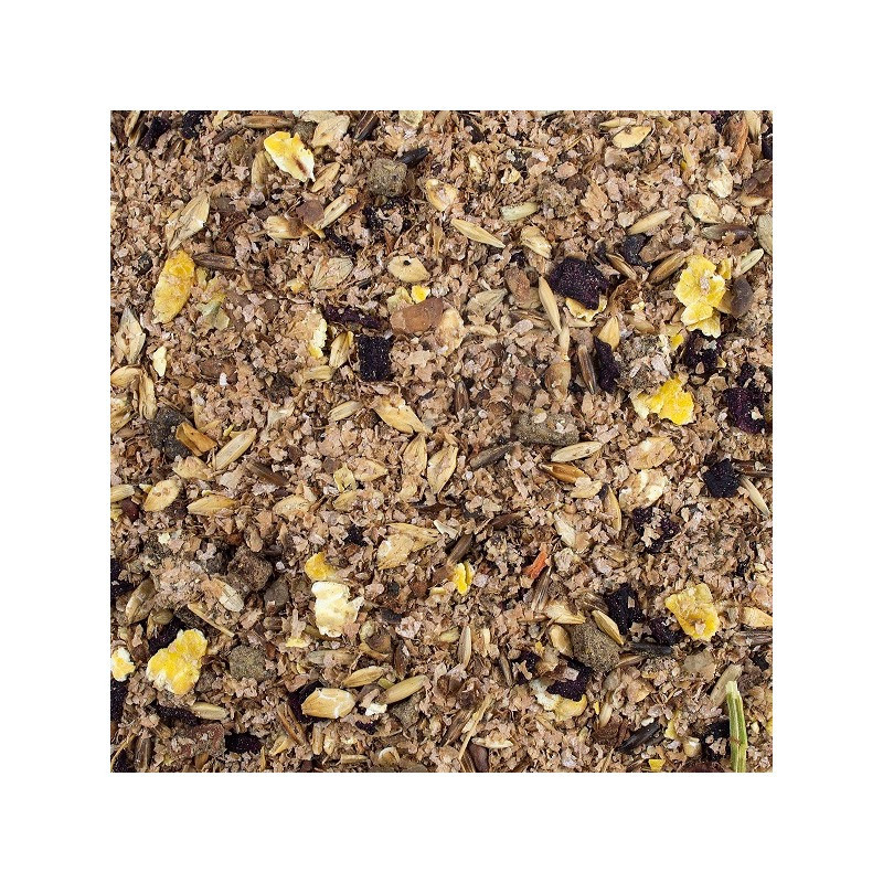Mash Cheval SPEED Saveur Pomme Mash Cheval SPEED Saveur Pomme