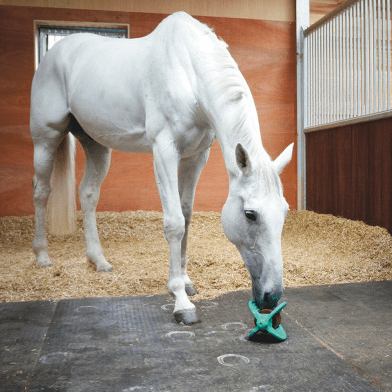 Bizzy Horse Support Bizzy Ball Bizzy Horse Support Bizzy Ball