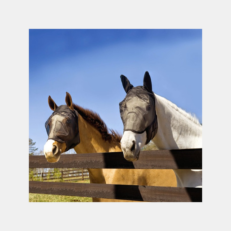Masque Anti-Insectes UltraShield Fly Mask- avec Oreilles- d'Absorbine
