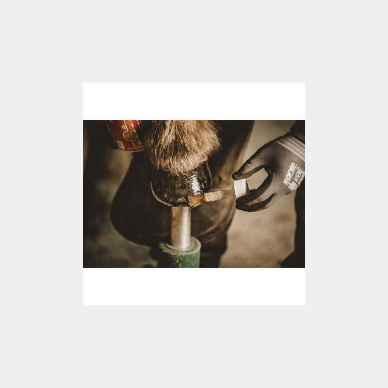 Kevin Bacon's Liquid Hoof Dressing Kevin Bacon's Liquid Hoof Dressing