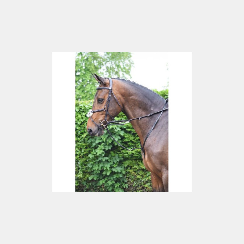 Enrênement Jumpin Howlett Acajou Enrênement Jumpin Howlett Acajou