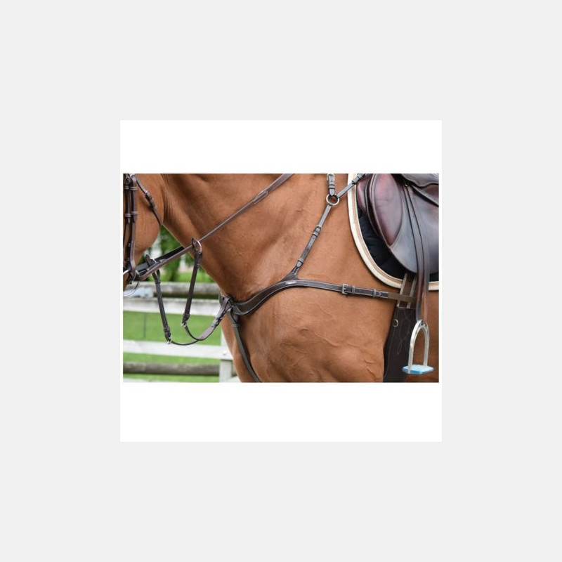 Collier de chasse Jumpin cinq points et martingale Noir Collier de chasse Jumpin cinq points et martingale Noir