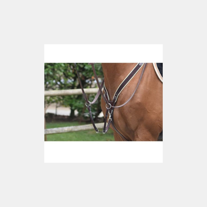Collier de chasse Jumpin élastique et martingale Noir Collier de chasse Jumpin élastique et martingale Noir