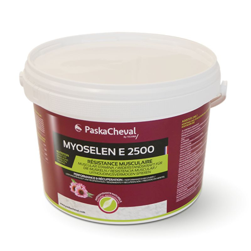 PaskaCheval Myoselen E2500+