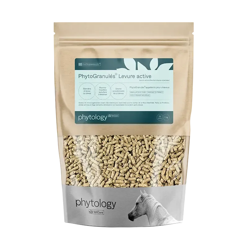 Phytology VetCare PhytoGranulés Levure Active
