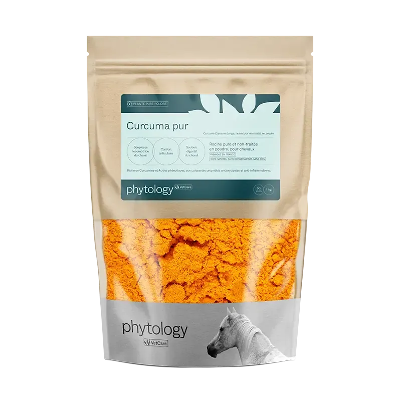 Phytology VetCare Curcuma