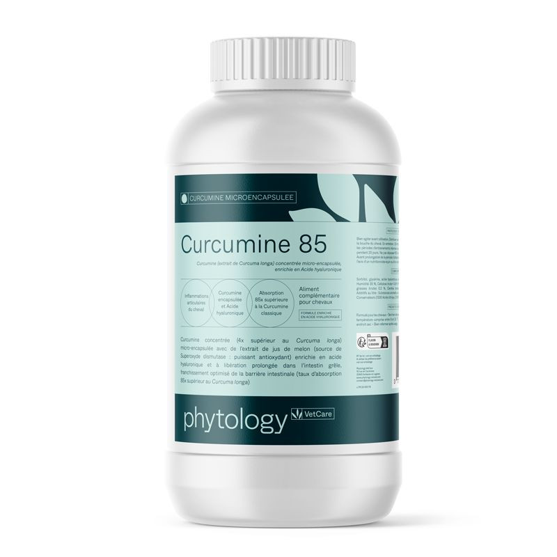 Phytology VetCare Curcumine 85 Curcuma Cheval
