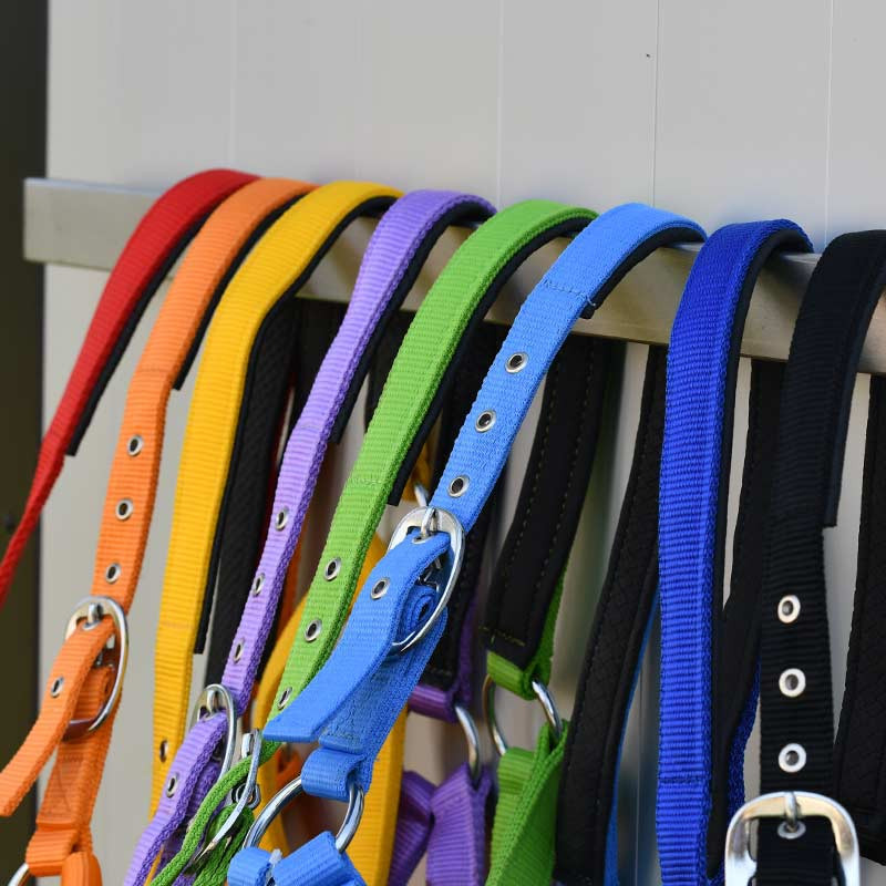 Gamme du Maréchal Licol Nylon Triple Épaisseur - Vert