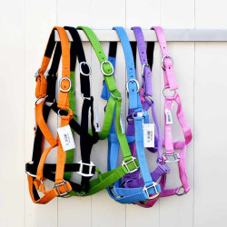Cheval Energy Licol en...