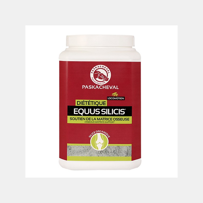 Squelette Cheval Paskacheval Equus Silicis Squelette Cheval Paskacheval Equus Silicis