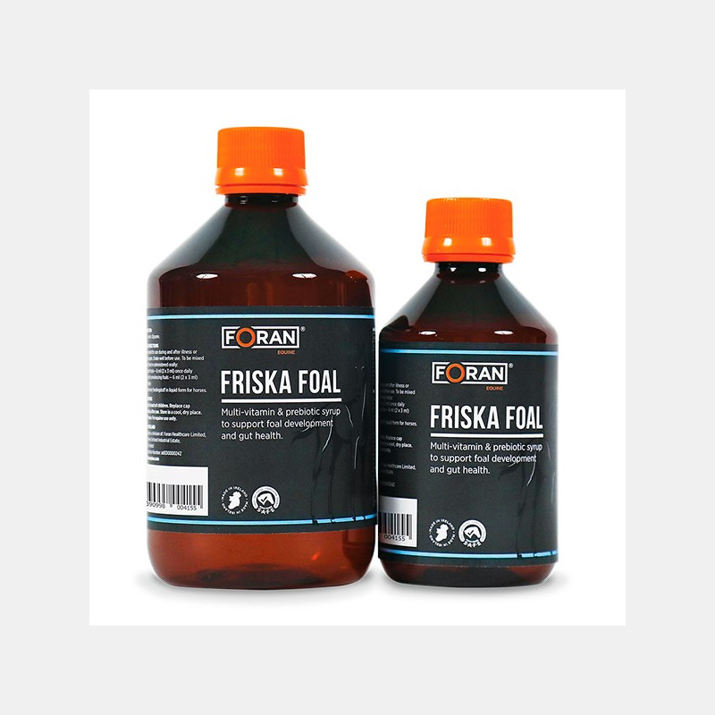 Foran Friska Foal Foran Friska Foal