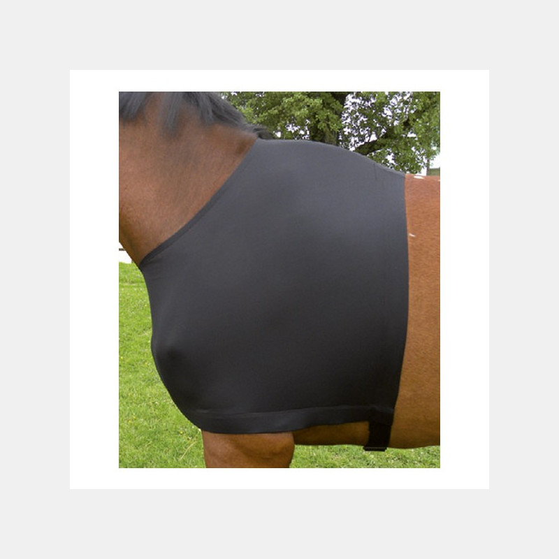 protege epaule cheval protege epaule cheval