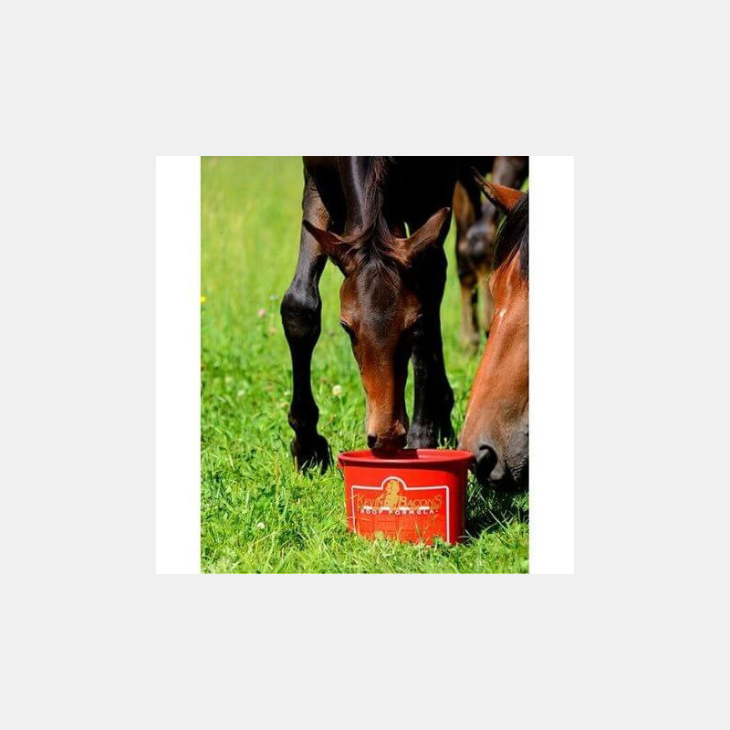 Biotine Cheval Kevin Bacon's Hoof Formula Biotine Cheval Kevin Bacon's Hoof Formula
