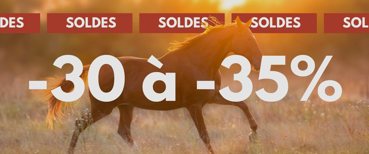 french-days-pony-power.jpg