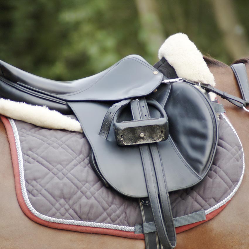 Dorsalgies chez le cheval : comment les éviter
