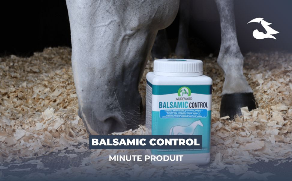 Balsamic Control, notre avis