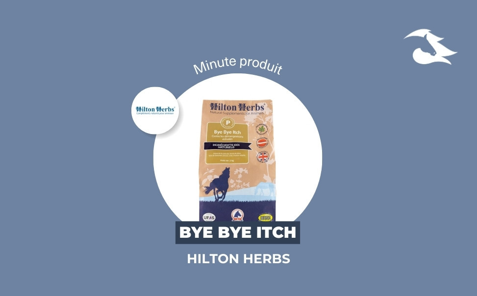 La Minute Produit : Bye Bye Itch de Hilton Herbs