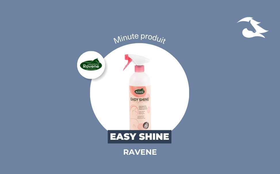 La Minute Produit - Le démêlant Easyshine de Ravene