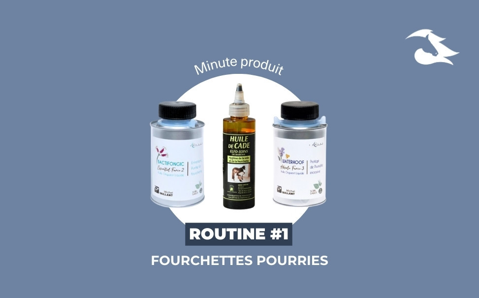 La Minute Produit : Routine N°1 fourchettes pourries