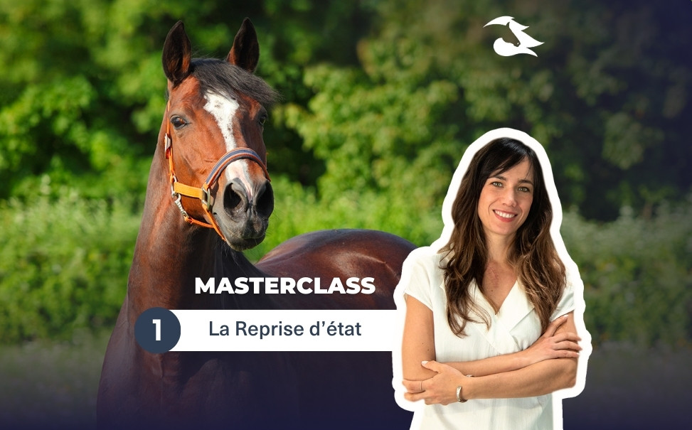 MasterClass 1 - La reprise d'état