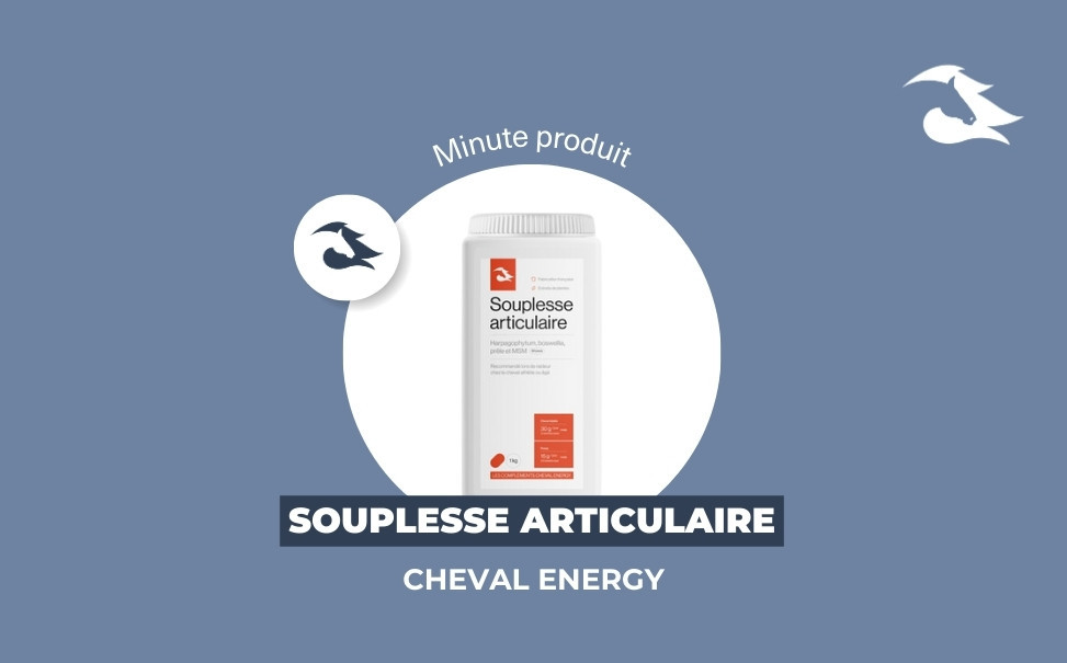 La Minute Produit : Souplesse Articulaire Cheval Energy