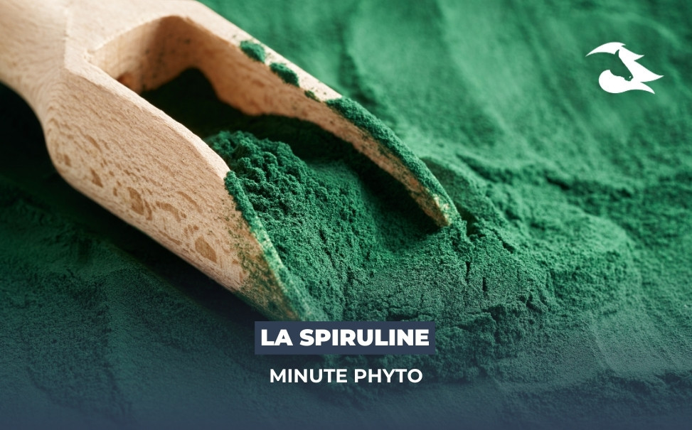 La Minute Phyto - La spiruline pour le cheval