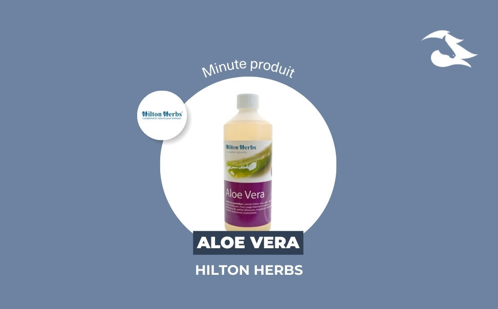 La Minute Produit : l'Aloe Vera Hilton Herbs